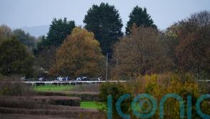 Plumpton and Hereford call precautionary inspections