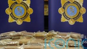 Gardai &lsquo;severely disrupted&rsquo; activities of organised crime gang in drugs swoop
