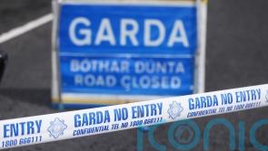 Man dies after Co Offaly crash