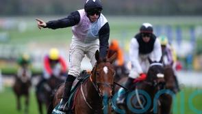 Teahupoo tops 20 in the hunt for Stayers&rsquo; Hurdle honours