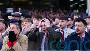 Bookmakers saved from &rsquo;50million&rsquo; hammering at Cheltenham