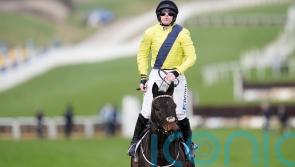 Emotional Cheltenham scenes, as Marine Nationale takes Champion Chase crown