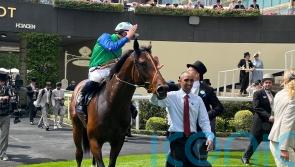 Meehan expecting better to come from Rashabar after this weekend