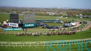 Horse that collapsed after Grand National dies