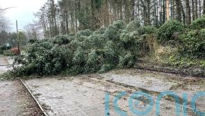 Study reveals power of Storm Eowyn and how Galway escaped record high flooding