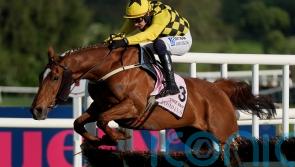 State Man rules supreme in Champion Hurdle showdown