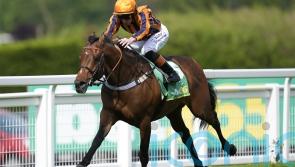Moore comes in for plum Lockinge ride on Dancing Gemini