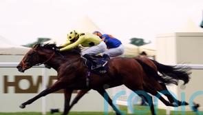 Rosallion returns in star-studded Lockinge