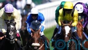 Ascot Eyecatcher Rahiebb will make his mark