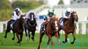 Allonsy takes Listed honours in Pontefract feature