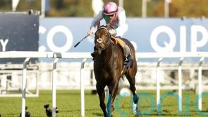 Kalpana out to return to winning ways in Pretty Polly