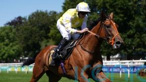 Orion&rsquo;s Belt stars in Newmarket opener for Richard Hannon