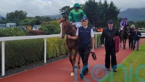 Benvenuto Cellini makes winning mark at Killarney