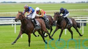 The Lion In Winter heading back to France for Prix Jacques le Marois