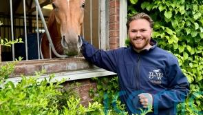 Blow for Fellowes and Basher Watts, as Shes Perfect meets with setback