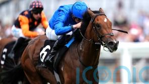 Time To Turn puts his name in the hat for big-race targets