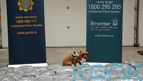 Man arrested after cannabis worth 2.1 million euro seized in Cork