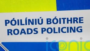 Gardai who disregard roads policing &lsquo;letting colleagues down&rsquo; &ndash; Tanaiste