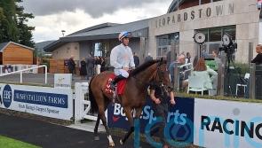 Sons And Lovers goes the distance in the Ballyroan victory