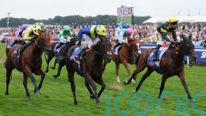 Hannon hoping Rosallion might get chance to shine at the Breeders&rsquo; Cup