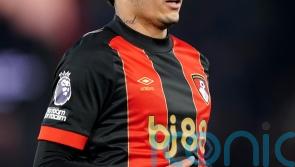 Bournemouth bring Tottenham back down to earth as Evanilson secures win