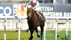 Kalpana takes September Stakes step to ultimate Arc aim