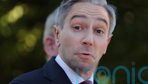 &lsquo;Nonsense&rsquo; to suggest Fine Gael councillors should back independent candidates