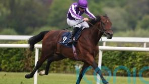 Christophe Soumillon savouring Delacroix date at Leopardstown