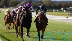 Dewhurst the next stop for National hero Zavateri