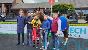 Stunning finish from La Fogata lights up Punchestown