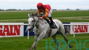 White Birch heading back up in trip for Arc bid