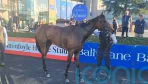 Yaupon De Replay sparks Breeders&rsquo; Cup hopes with debut win