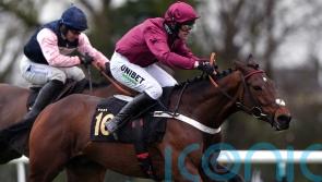 Palladium aiming to prove his staying mettle at Newmarket