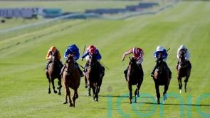 Distant Storm shows star quality in Tattersalls demolition