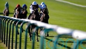 Miss Alpilles comes good with surprise Rose Bowl result