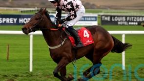 Heads Up makes no mistake on hurdling bow at Listowel