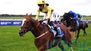 Zeus Olympios proves too good for Opera Ballo in Joel Stakes