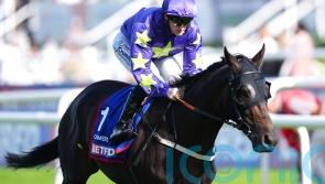 Carmers back next year with Cup races on agenda