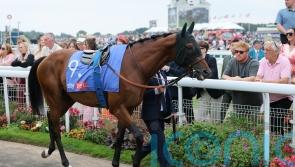 Foret run could provide Maranoa Charlie&rsquo;s career finale