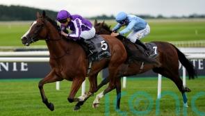 Minnie Hauk drawn in stall one for Arc assignment