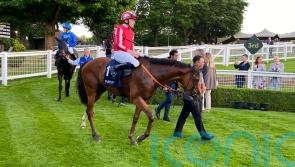 Bay City Roller bids to be Dollar hit for Scott