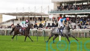 Fallen Angel powers away for another Group One in Sun Chariot