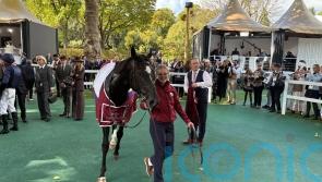 Puerto Rico far too hot for Lagardere rivals