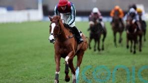 Windbeneathmywings nearing take off for hurdling campaign