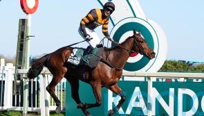 Mullins has Gold in mind for Nick Rockett