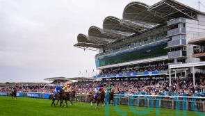 Damysus continues forward momentum in Darley Stakes