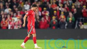 Cardiff defend pest control policy after rat halts Wales match