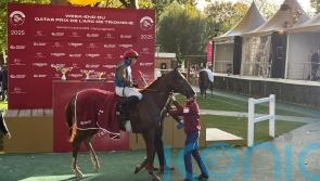 Fabre: First Look deserves to take his chance in Champion Stakes