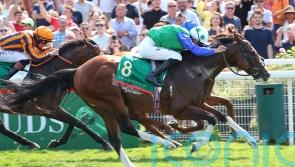 No Breeders&rsquo; Cup run for retiring Diego Velazquez