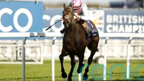 Kalpana leads Balding&rsquo;s Ascot team in title pursuit